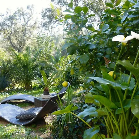 Feriehus Maison Proche Saint Tropez